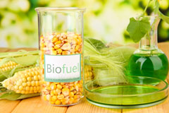Dailly biofuel availability
